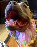 daycare pic 26 - Karma costume